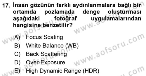 Optik Bakış Dersi 2017 - 2018 Yılı (Final) Dönem Sonu Sınavı 17. Soru