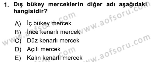 Optik Bakış Dersi 2021 - 2022 Yılı Yaz Okulu Sınav Soruları 1. Soru
