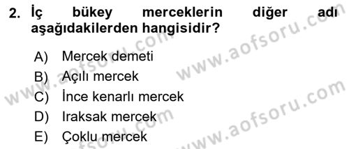 Optik Bakış Dersi 2024 - 2025 Yılı Yaz Okulu Sınav Soruları 2. Soru
