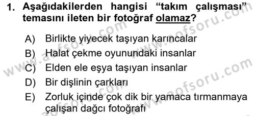 Fotoğraf ve Video Proje Geliştirme Dersi 2015 - 2016 Yılı (Final) Dönem Sonu Sınav Soruları 1. Soru