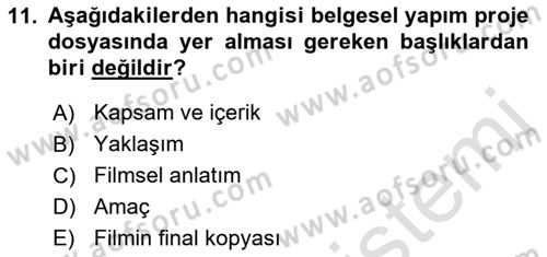 Fotoğraf ve Video Proje Geliştirme Dersi 2016 - 2017 Yılı (Final) Dönem Sonu Sınav Soruları 11. Soru