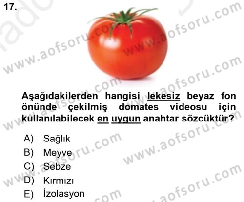 Fotoğraf ve Video Proje Geliştirme Dersi 2018 - 2019 Yılı (Final) Dönem Sonu Sınav Soruları 17. Soru