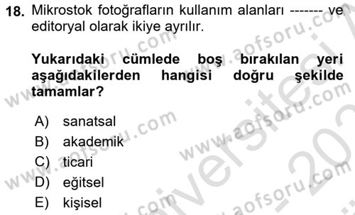 Fotoğraf ve Video Proje Geliştirme Dersi 2024 - 2025 Yılı (Vize) Ara Sınav Soruları 18. Soru