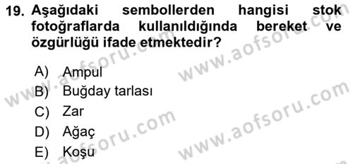 Fotoğraf ve Video Proje Geliştirme Dersi 2024 - 2025 Yılı (Vize) Ara Sınav Soruları 19. Soru