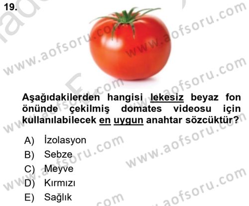 Fotoğraf ve Video Proje Geliştirme Dersi 2024 - 2025 Yılı (Final) Dönem Sonu Sınav Soruları 19. Soru