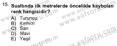 Fotoğrafın Kullanım Alanları Dersi Ara Sınavı Deneme Sınav Soruları 15. Soru