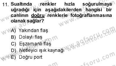 Fotoğrafın Kullanım Alanları Dersi Ara Sınavı Deneme Sınav Soruları 11. Soru