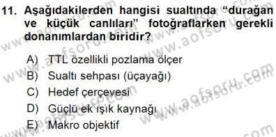 Fotoğrafın Kullanım Alanları Dersi Ara Sınavı Deneme Sınav Soruları 11. Soru
