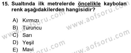Fotoğrafın Kullanım Alanları Dersi 2021 - 2022 Yılı (Vize) Ara Sınav Soruları 15. Soru