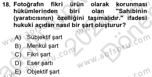 Fotoğrafın Kullanım Alanları Dersi 2021 - 2022 Yılı (Final) Dönem Sonu Sınav Soruları 18. Soru
