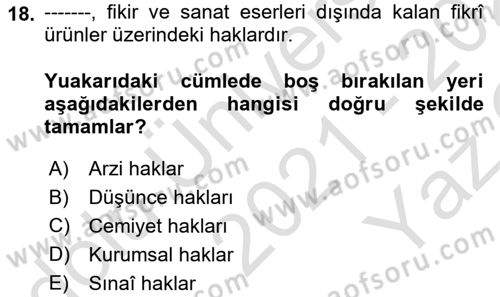 Fotoğrafın Kullanım Alanları Dersi 2021 - 2022 Yılı Yaz Okulu Sınav Soruları 18. Soru