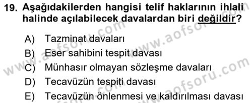 Fotoğrafın Kullanım Alanları Dersi 2021 - 2022 Yılı Yaz Okulu Sınav Soruları 19. Soru