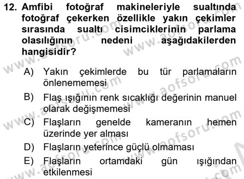 Fotoğrafın Kullanım Alanları Dersi Ara Sınavı Deneme Sınav Soruları 12. Soru