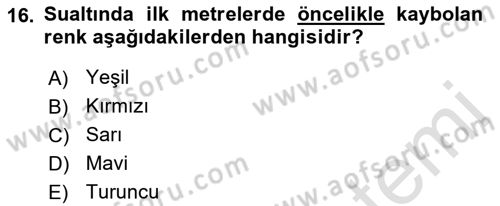Fotoğrafın Kullanım Alanları Dersi 2022 - 2023 Yılı (Vize) Ara Sınav Soruları 16. Soru