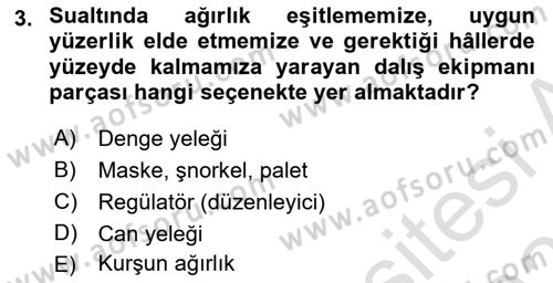 Fotoğrafın Kullanım Alanları Dersi 2022 - 2023 Yılı Yaz Okulu Sınav Soruları 3. Soru