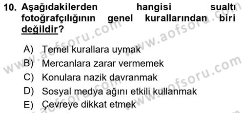 Fotoğrafın Kullanım Alanları Dersi Ara Sınavı Deneme Sınav Soruları 10. Soru