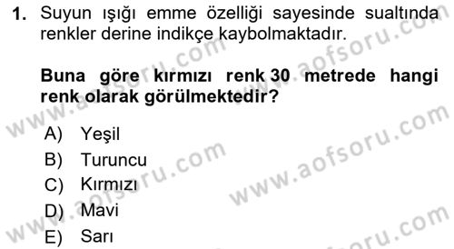Fotoğrafın Kullanım Alanları Dersi 2023 - 2024 Yılı (Final) Dönem Sonu Sınav Soruları 1. Soru