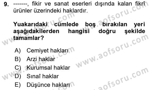 Fotoğrafın Kullanım Alanları Dersi 2023 - 2024 Yılı (Final) Dönem Sonu Sınav Soruları 9. Soru