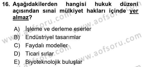 Fotoğrafın Kullanım Alanları Dersi 2023 - 2024 Yılı Yaz Okulu Sınav Soruları 16. Soru