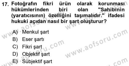 Fotoğrafın Kullanım Alanları Dersi 2024 - 2025 Yılı Yaz Okulu Sınav Soruları 17. Soru