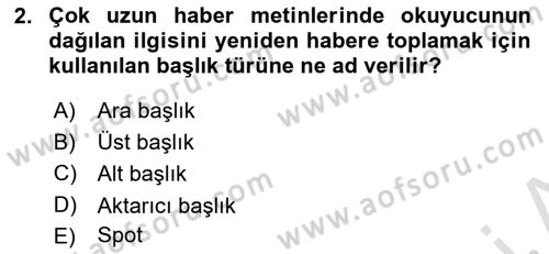 Basın Fotoğrafçılığı Dersi 2024 - 2025 Yılı (Vize) Ara Sınav Soruları 2. Soru