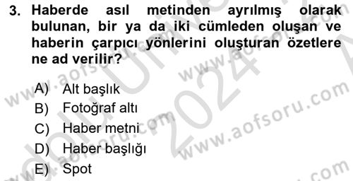 Basın Fotoğrafçılığı Dersi 2024 - 2025 Yılı (Vize) Ara Sınav Soruları 3. Soru