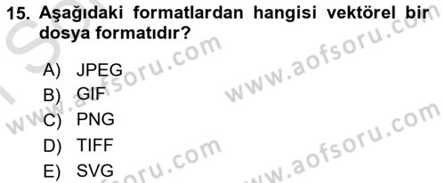  Sayısal Görüntüleme Teknolojileri Dersi 2024 - 2025 Yılı (Final) Dönem Sonu Sınav Soruları 15. Soru
