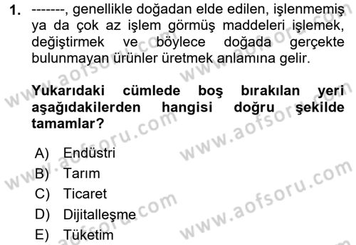  Sayısal Görüntüleme Teknolojileri Dersi 2025 - 2026 Yılı (Vize) Ara Sınav Soruları 1. Soru