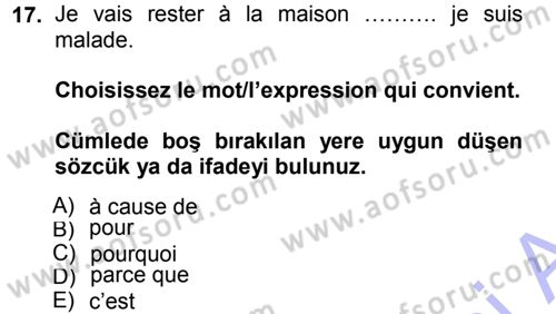 Fransızca 1 Dersi 2012 - 2013 Yılı (Final) Dönem Sonu Sınav Soruları 17. Soru