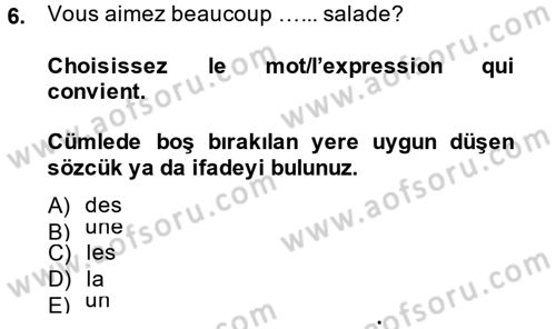 Fransızca 1 Dersi Ara Sınavı Deneme Sınav Soruları 6. Soru