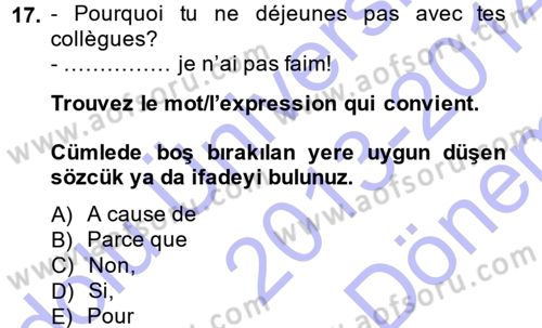 Fransızca 1 Dersi 2013 - 2014 Yılı (Final) Dönem Sonu Sınav Soruları 17. Soru