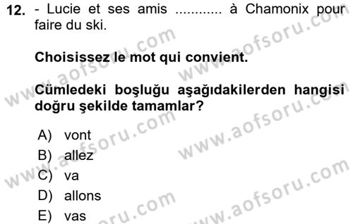 Fransızca 1 Dersi Ara Sınavı Deneme Sınav Soruları 12. Soru