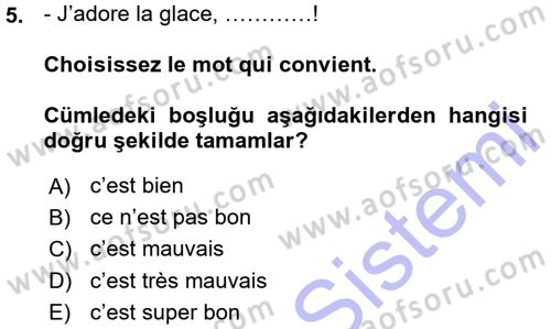 Fransızca 1 Dersi Ara Sınavı Deneme Sınav Soruları 5. Soru