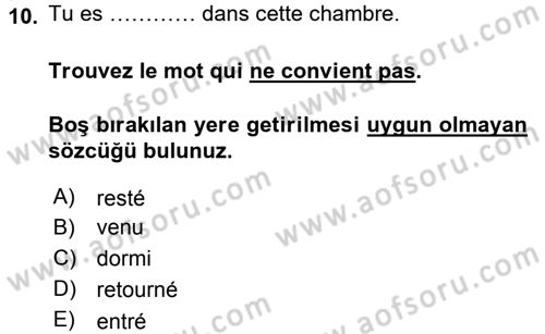 Fransızca 1 Dersi 2015 - 2016 Yılı Tek Ders Sınavı 10. Soru