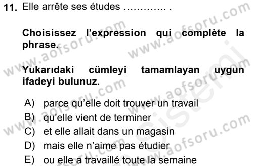 Fransızca 1 Dersi 2015 - 2016 Yılı Tek Ders Sınavı 11. Soru