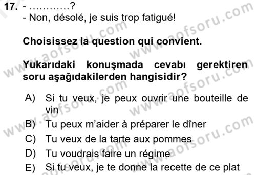 Fransızca 1 Dersi 2015 - 2016 Yılı Tek Ders Sınavı 17. Soru