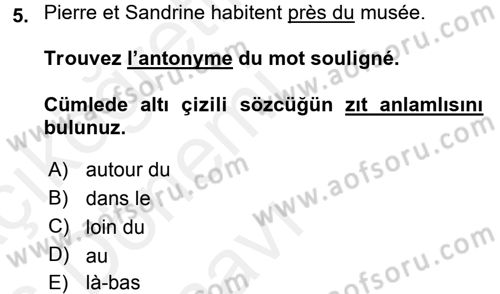 Fransızca 1 Dersi 2015 - 2016 Yılı Tek Ders Sınavı 5. Soru