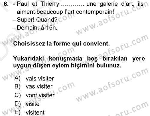 Fransızca 1 Dersi 2015 - 2016 Yılı Tek Ders Sınavı 6. Soru