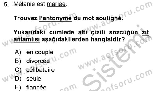Fransızca 1 Dersi 2016 - 2017 Yılı 3 Ders Sınav Soruları 5. Soru