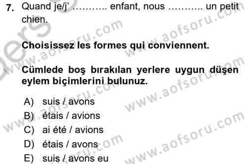 Fransızca 1 Dersi 2016 - 2017 Yılı 3 Ders Sınav Soruları 7. Soru