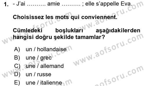 Fransızca 1 Dersi Ara Sınavı Deneme Sınav Soruları 1. Soru