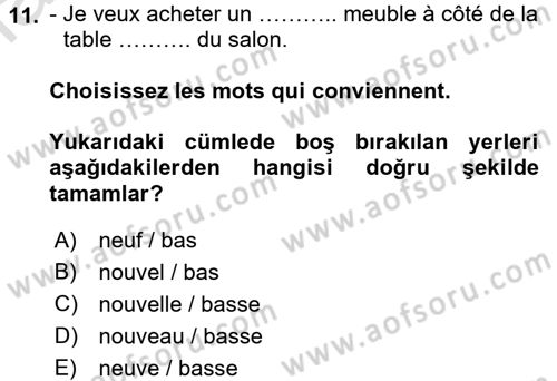 Fransızca 1 Dersi Ara Sınavı Deneme Sınav Soruları 11. Soru