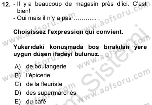 Fransızca 1 Dersi 2016 - 2017 Yılı (Vize) Ara Sınavı 12. Soru