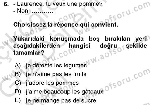 Fransızca 1 Dersi Ara Sınavı Deneme Sınav Soruları 6. Soru