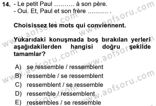 Fransızca 1 Dersi 2016 - 2017 Yılı (Final) Dönem Sonu Sınav Soruları 14. Soru