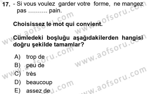 Fransızca 1 Dersi 2016 - 2017 Yılı (Final) Dönem Sonu Sınavı 17. Soru