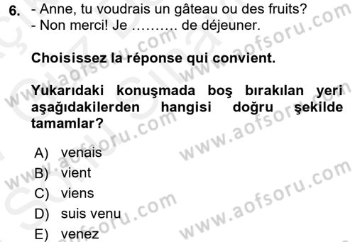 Fransızca 1 Dersi 2016 - 2017 Yılı (Final) Dönem Sonu Sınav Soruları 6. Soru