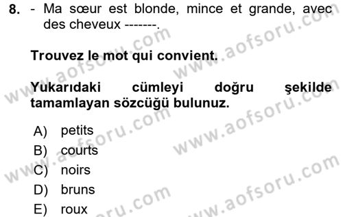 Fransızca 1 Dersi 2017 - 2018 Yılı 3 Ders Sınav Soruları 8. Soru