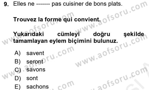Fransızca 1 Dersi 2017 - 2018 Yılı 3 Ders Sınav Soruları 9. Soru