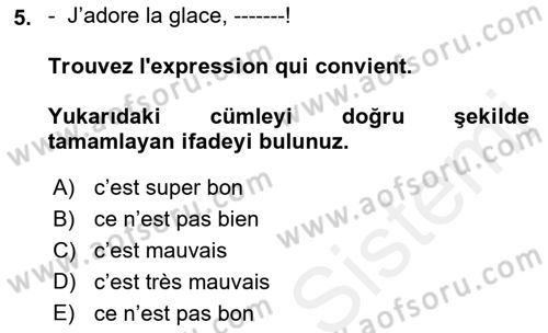 Fransızca 1 Dersi Ara Sınavı Deneme Sınav Soruları 5. Soru